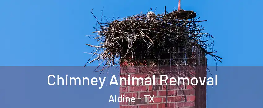 Chimney Animal Removal Aldine - TX