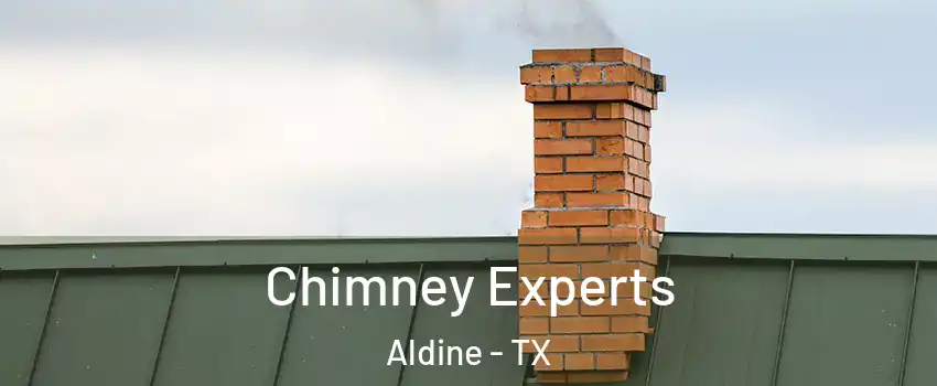 Chimney Experts Aldine - TX